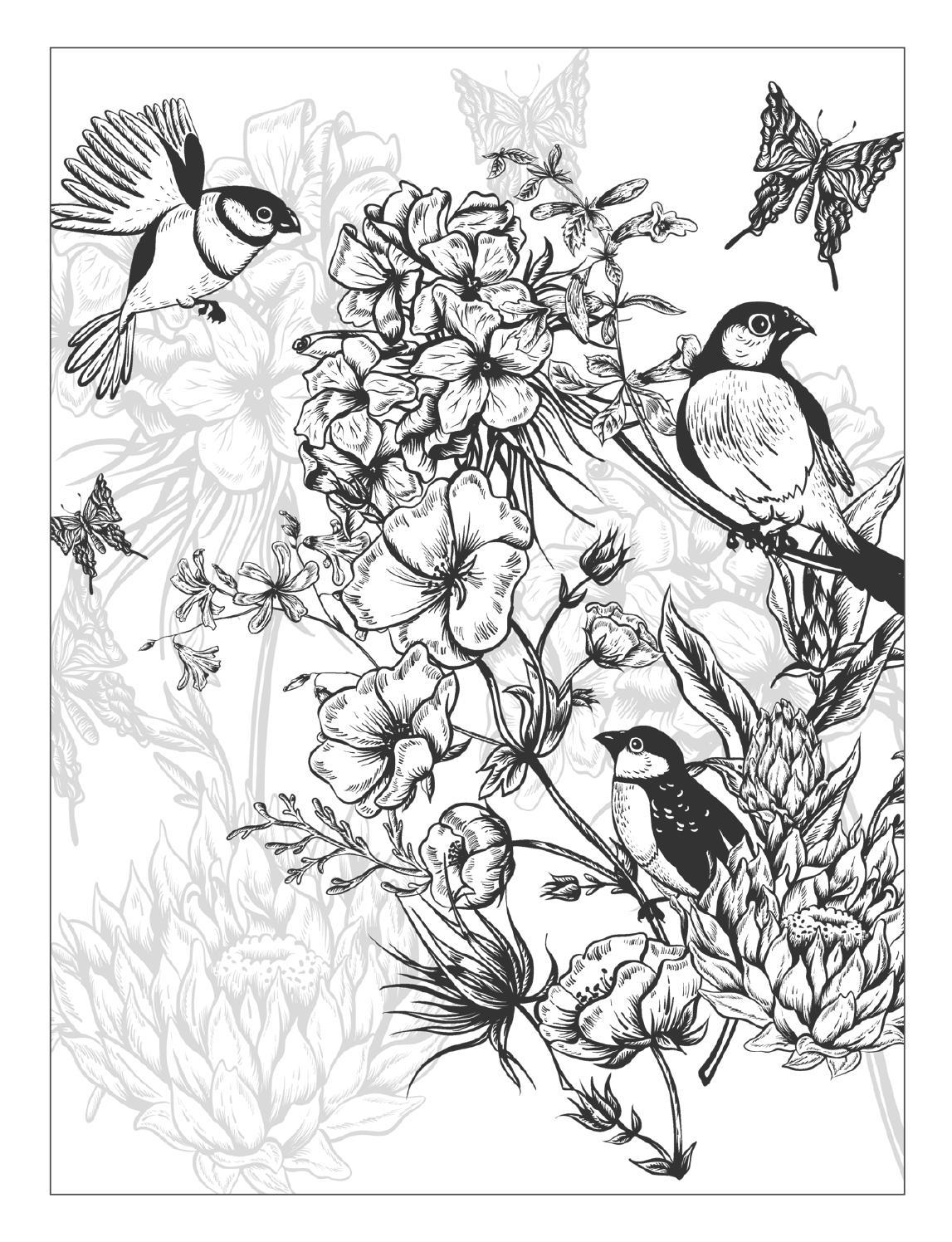 1147x1496 Cool Beautiful Flowers Detailed Floral Designs Coloring Book