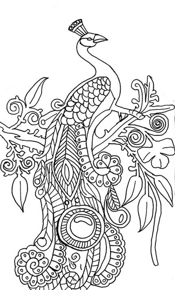 600x992 Peacock Coloring Page