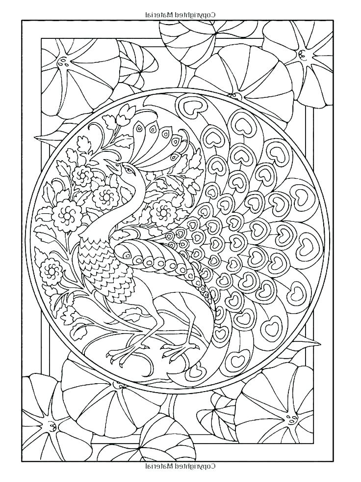 736x981 Peacock Coloring Page Coloring Pages Peacock Peacock Color Page