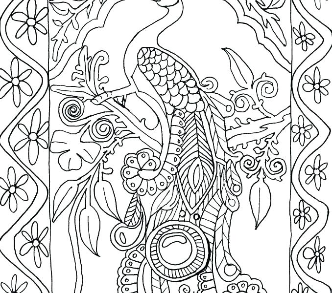 678x600 Peacock Coloring Pages Peacock Coloring Es For Adults Free