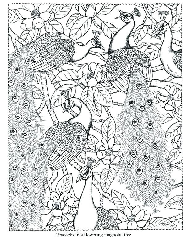608x770 Best Of Adult Coloring Pages Peacock Peacock Color Pages Peacock