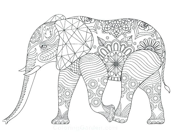 600x464 Coloring Pages Of Elephants Plus Printable Elephant Coloring Pages