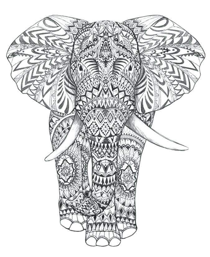 675x825 Free Printable Elephant Coloring Pages For Adults Download