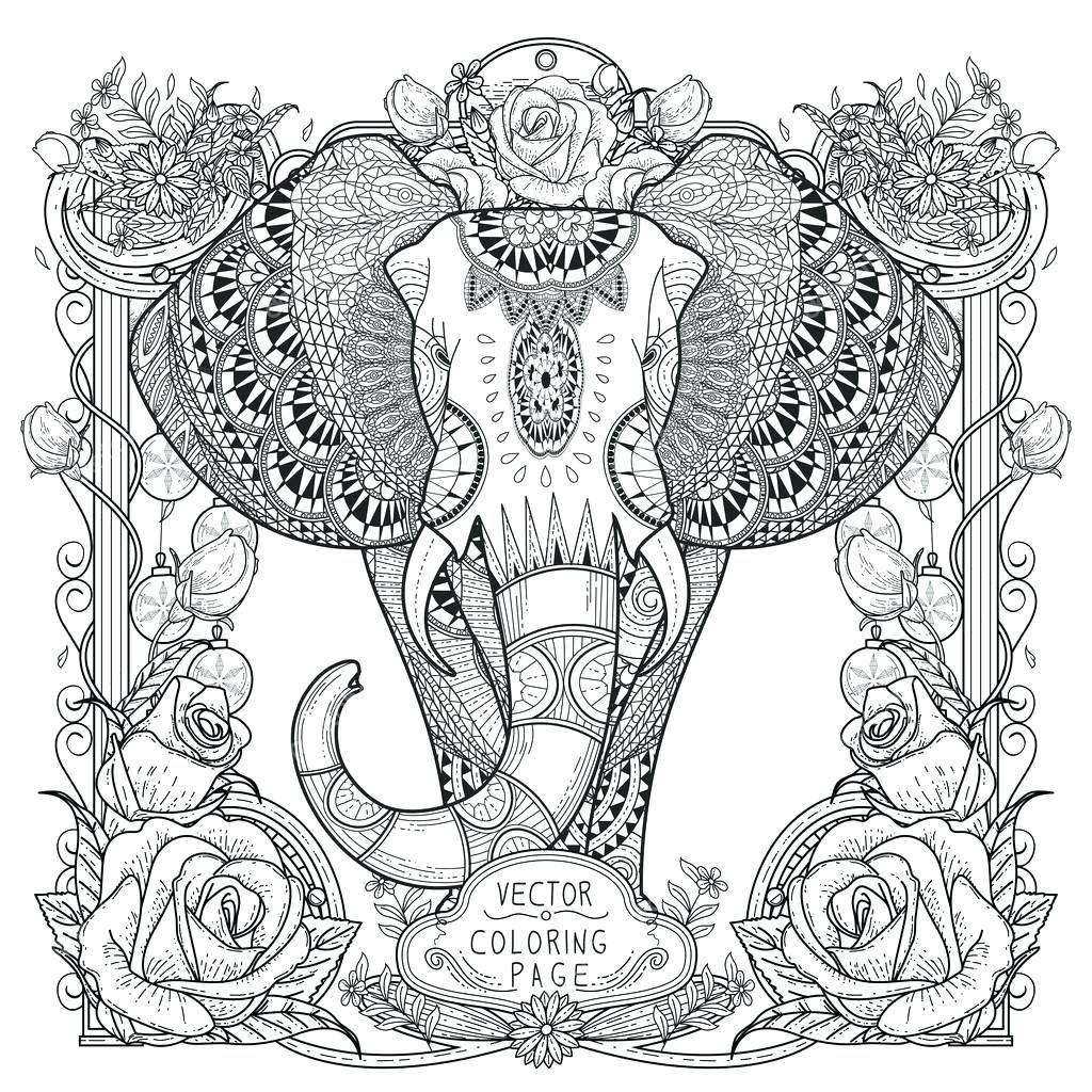 1024x1024 Coloring Page Elephant Color Page Splendid Coloring Stock Vector
