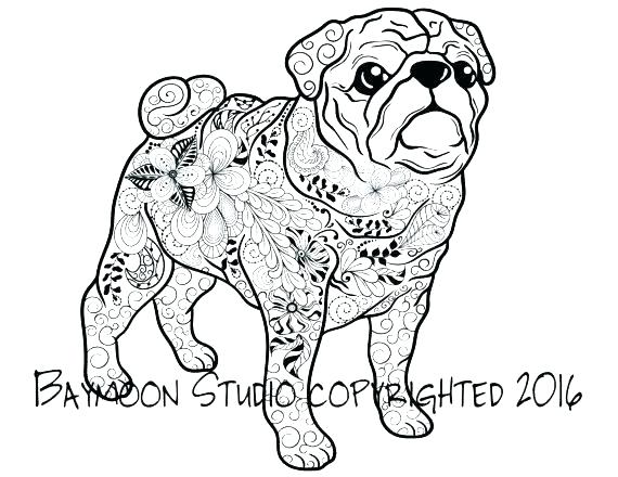 570x440 Pugs Coloring Pages Pug Coloring Pages Free Coloring Pug Puppy