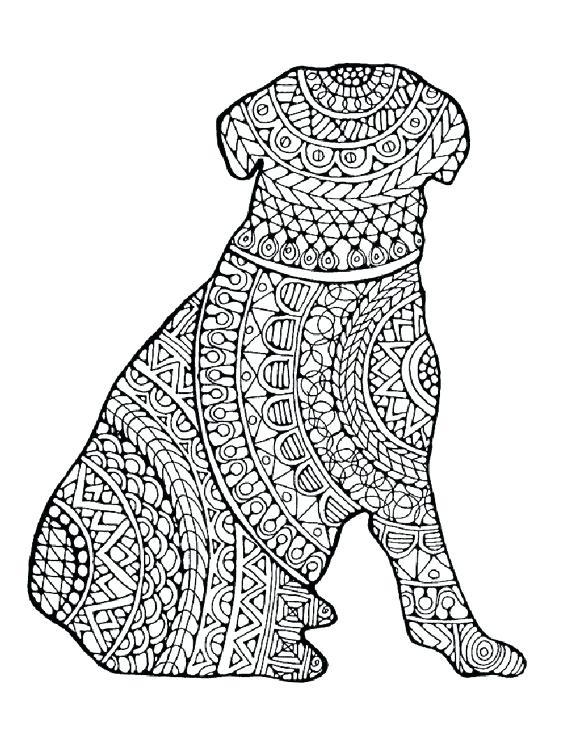 570x738 Adult Coloring Pages Pug Drawn Pug Coloring Page Pencil