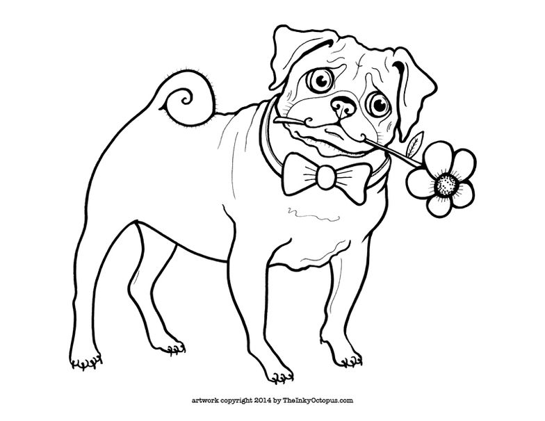 784x606 Cute Printable Pug Coloring Page