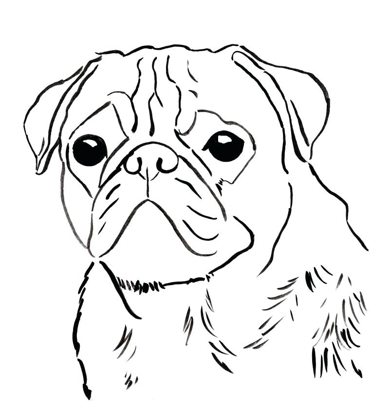 760x831 Free Pug Coloring Page To Download And Print Pug Coloring Pages