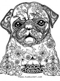 200x267 Free Printable Pug Coloring Page Sidney Available For Download