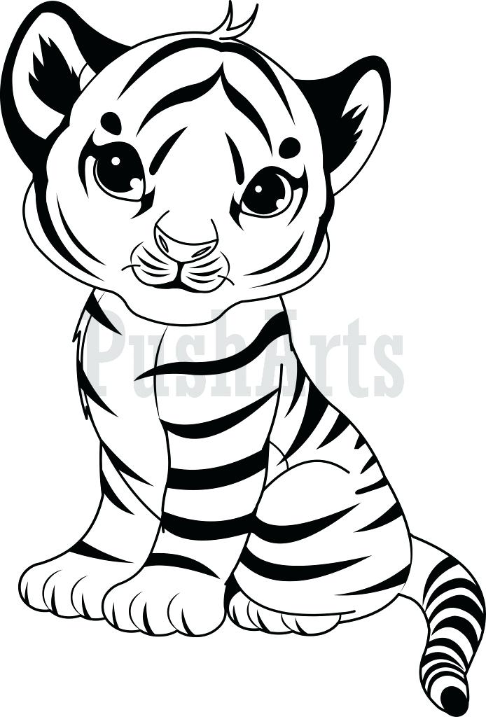 694x1024 Tiger Color Pages Tiger Color Pages Pictures Of Tigers To Color