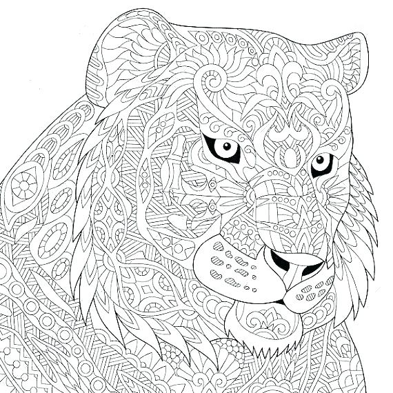 570x570 Tiger Coloring Pages Tiger Coloring Pages Photo Tiger Colouring