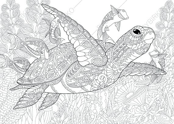 turtle coloring pages printable  newitaliancinema
