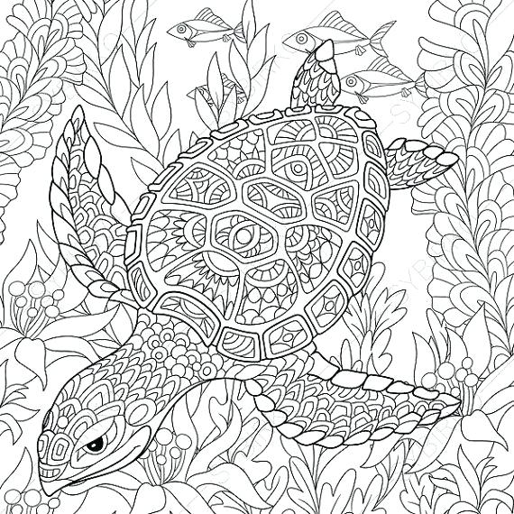 570x570 Coloring Pages Turtle