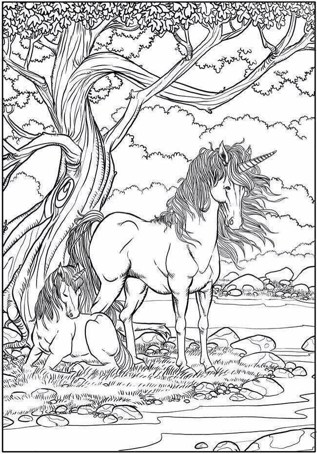 650x931 Coloring Sheet Coloring Sheets Adult Coloring