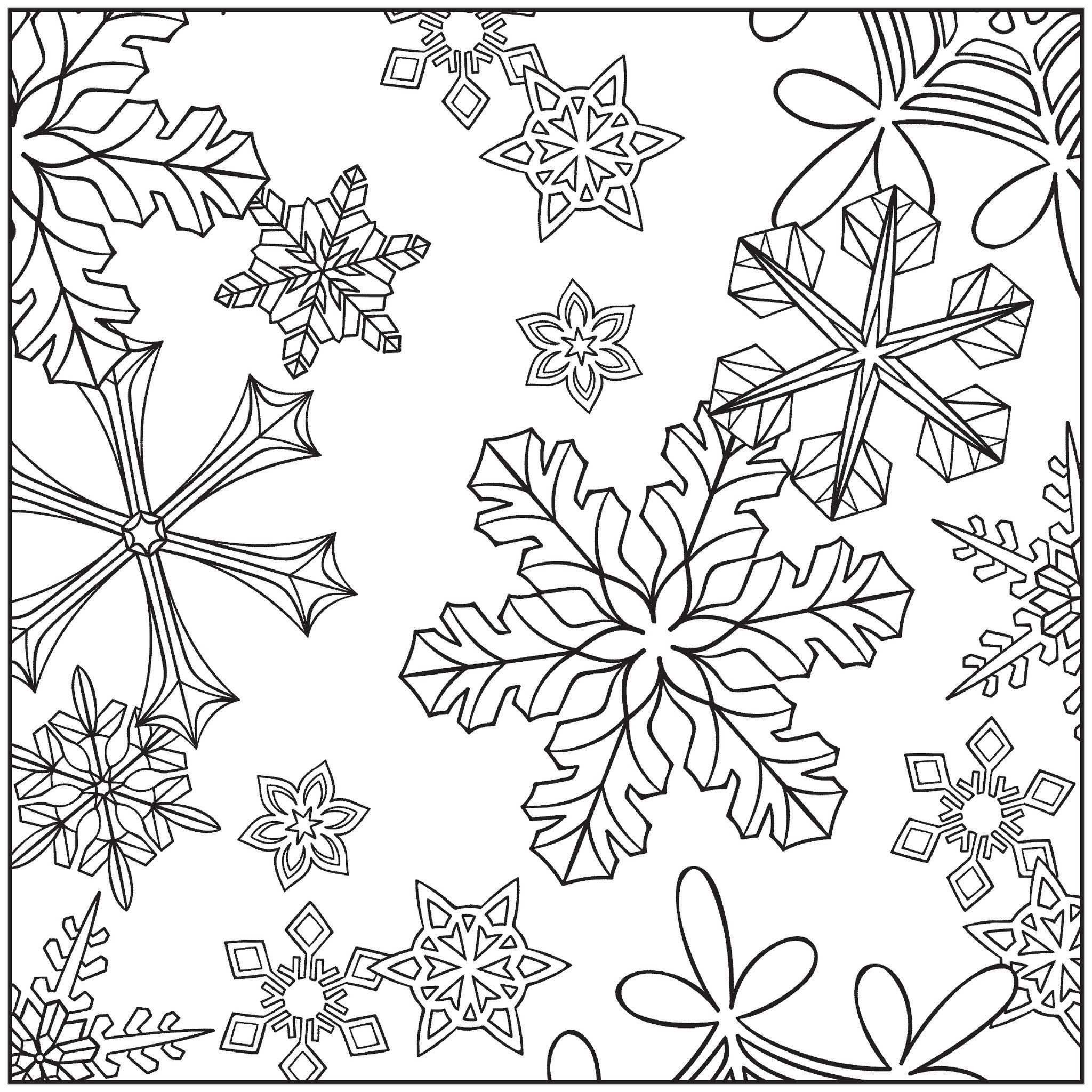 2048x2048 Winter Wonderland Adult Coloring Book With Relaxation Cd