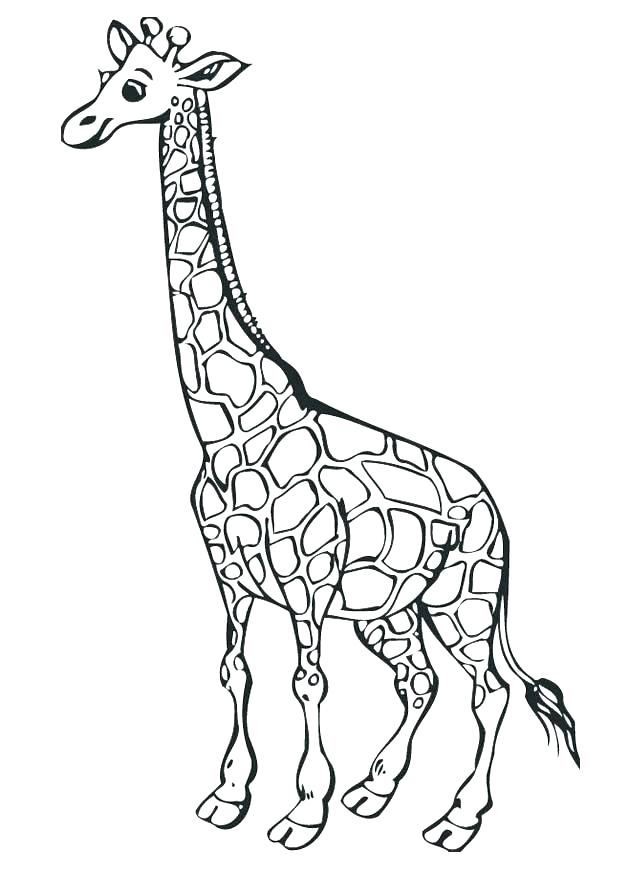 620x875 Giraffe Coloring Page Free Giraffe Coloring Pages For Adults