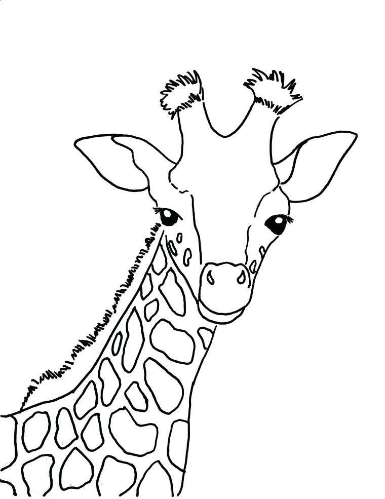 760x985 Giraffe Coloring Pages Christmas Giraffe Coloring Pages