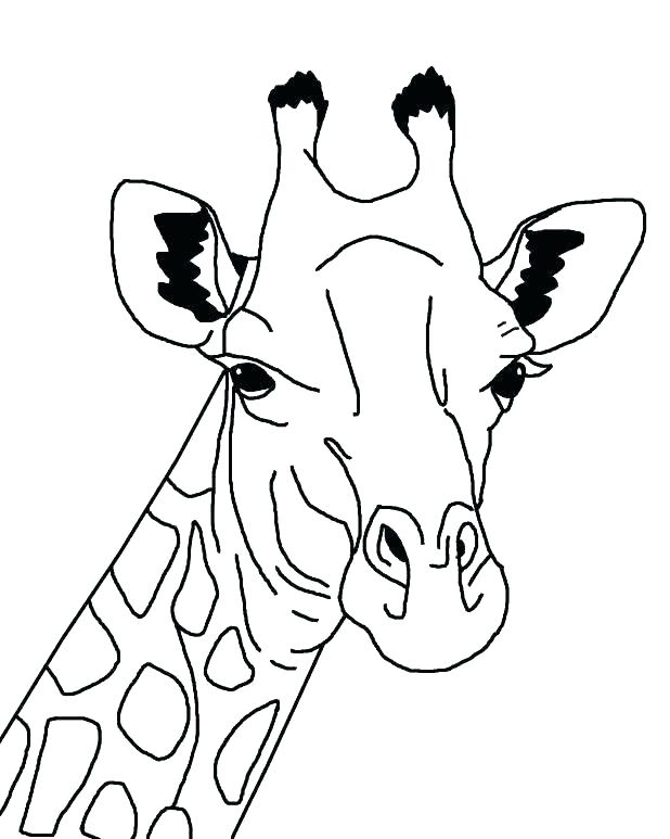 618x773 Giraffes Coloring Pages Cute Giraffe Coloring Pages Coloring Page