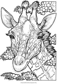 236x347 Zentangle Giraffe Head For Coloring Page, Shirt Design And So