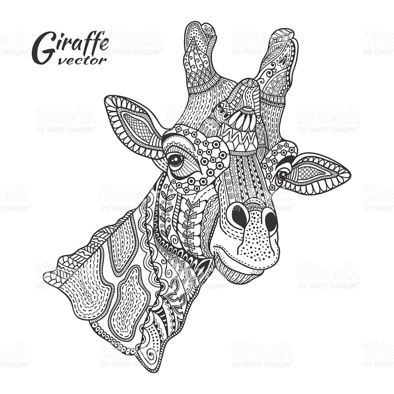 1280x1280 Adult Giraffe Coloring Pages Animals Printable