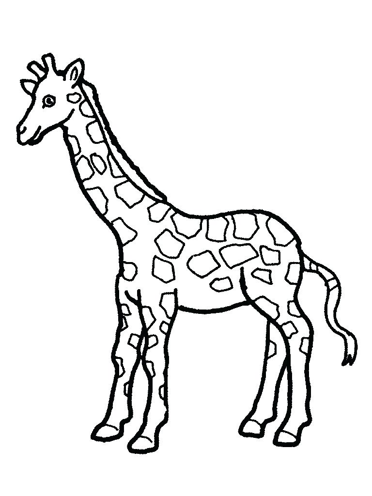 768x1024 Coloring Pages Giraffe Coloring Pages Cute Free For Adults