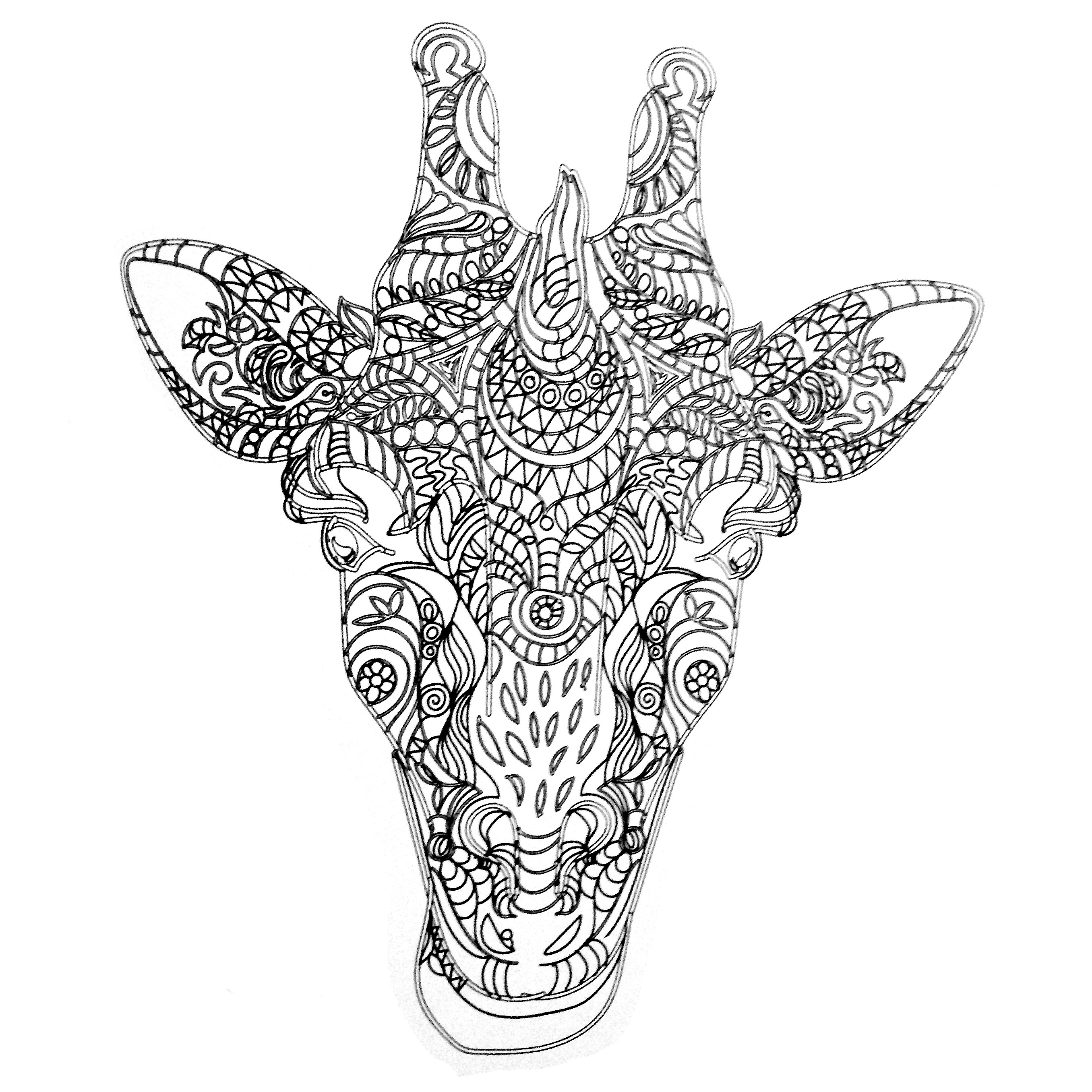2712x2712 Colors Of Nature Adult Colouring Book Giraffe Coloring Pages Fine