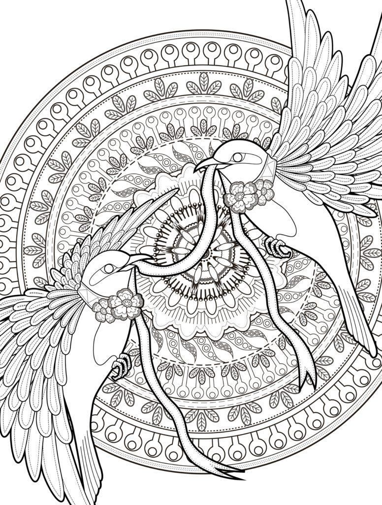 776x1024 Coloring Pages For Adults Holiday Simple Colorings