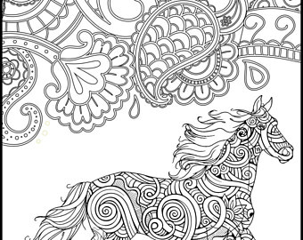 340x270 Horse Coloring Page For Adults Adult Coloring Pages