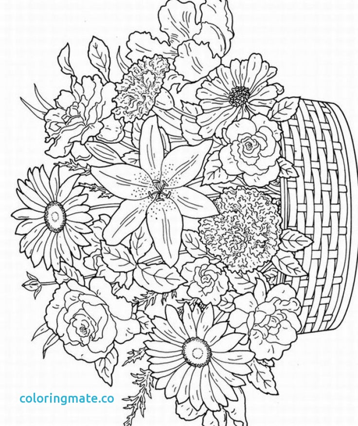 736x875 Spring Coloring Pages For Adults