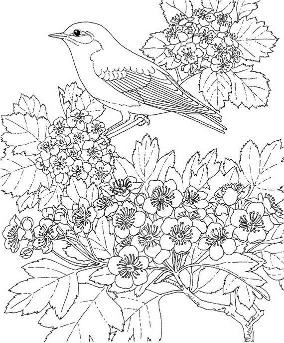570x687 Unique Spring Easter Holiday Adult Coloring Pages Designs