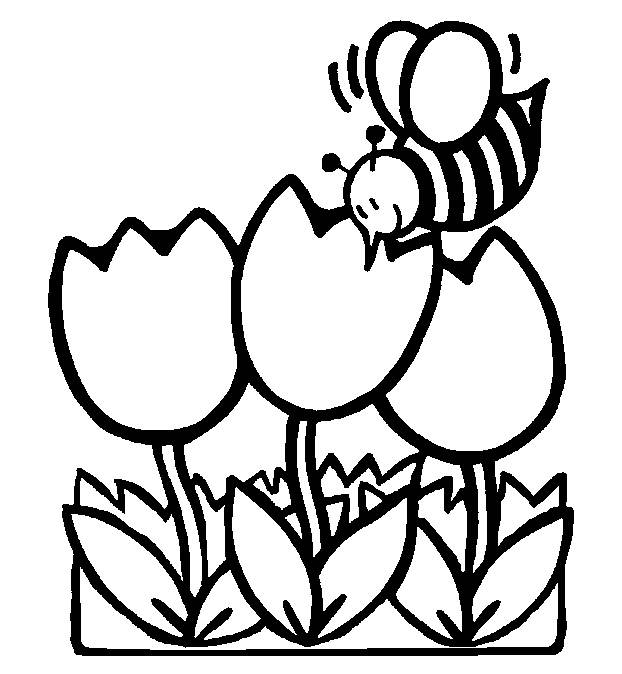 622x674 Cozy Ideas Spring Coloring Pages Printable Adult Themed Kids