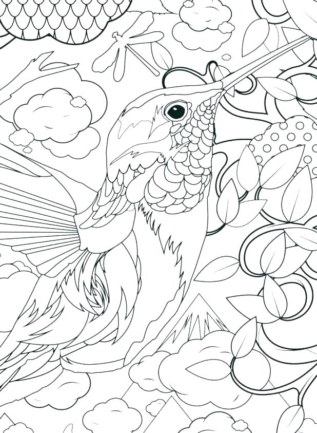 618x843 Advanced Color