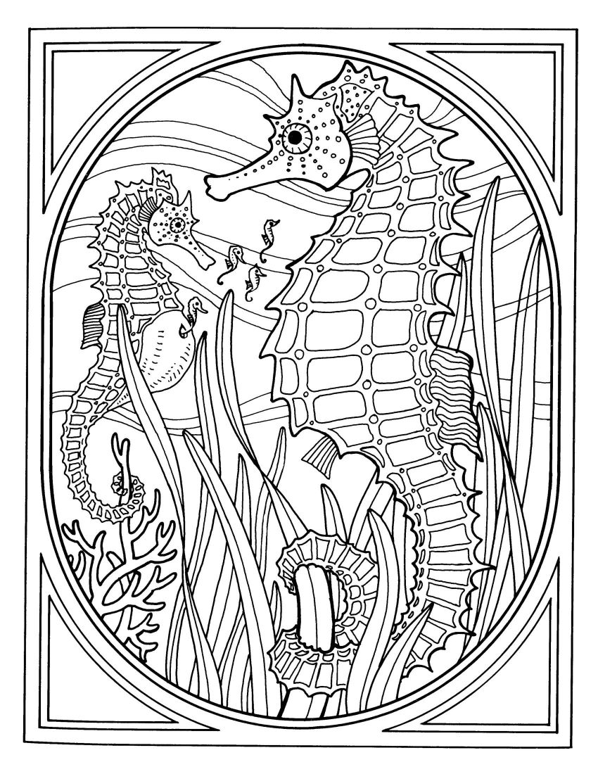 850x1100 Inspiring Advanced Coloring Pages Of Animals Many Interesting