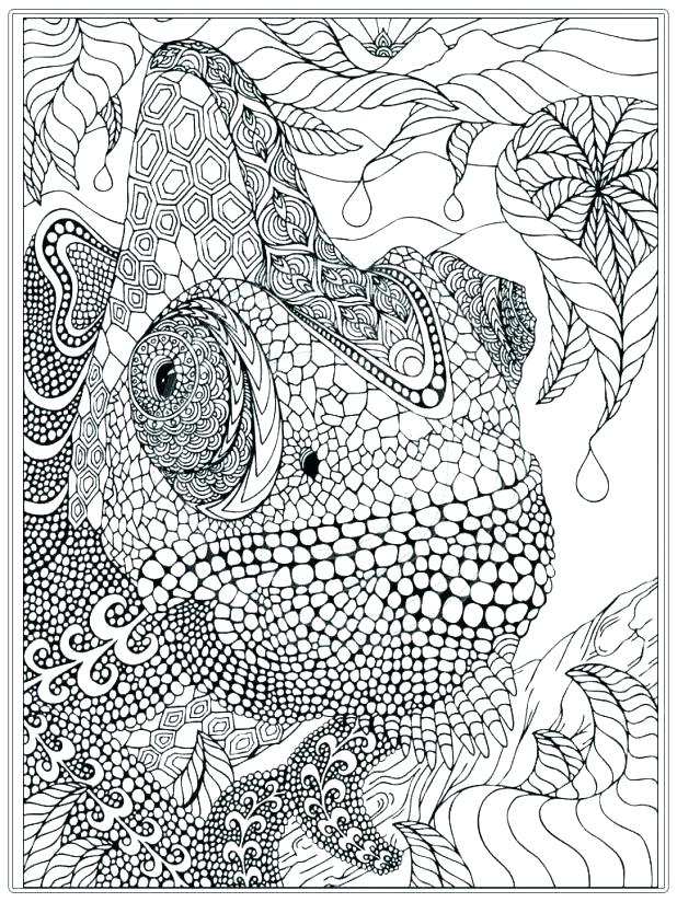 618x824 Advanced Coloring Sheets Printable Advanced Coloring Pages Plus