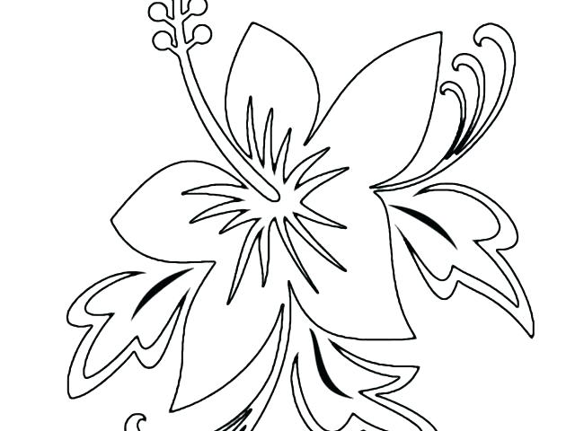 640x480 Advanced Flower Coloring Pages