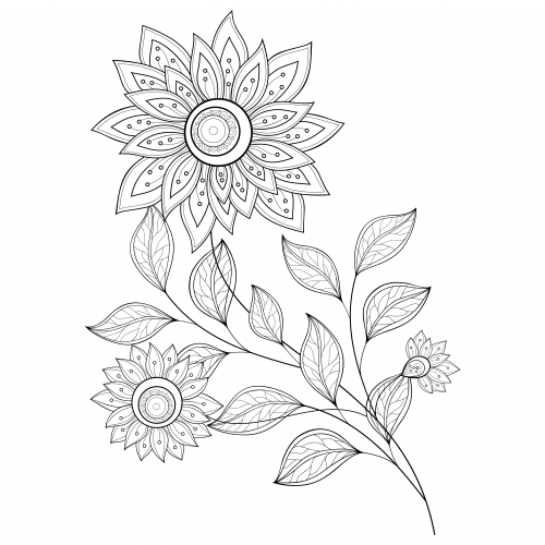 500x500 Advanced Flower Coloring Pages Flower Colors, Flower And Adult