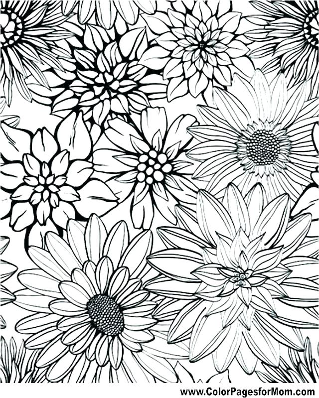 640x799 Free Advanced Coloring Pages Free Advanced Coloring Pages Free