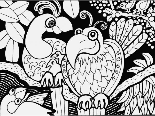640x480 Africa Coloring Pages Concept Africa Parrots Africa Coloring Pages