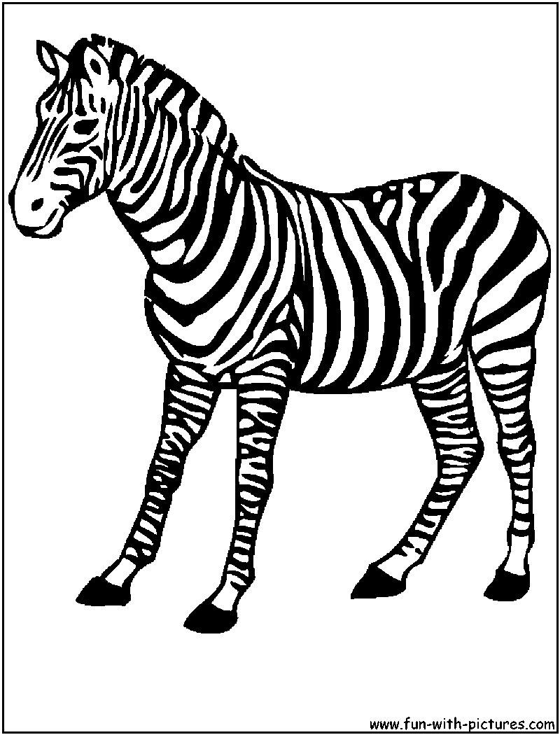 800x1050 African Animals Coloring Pages Printable Colouring Pages