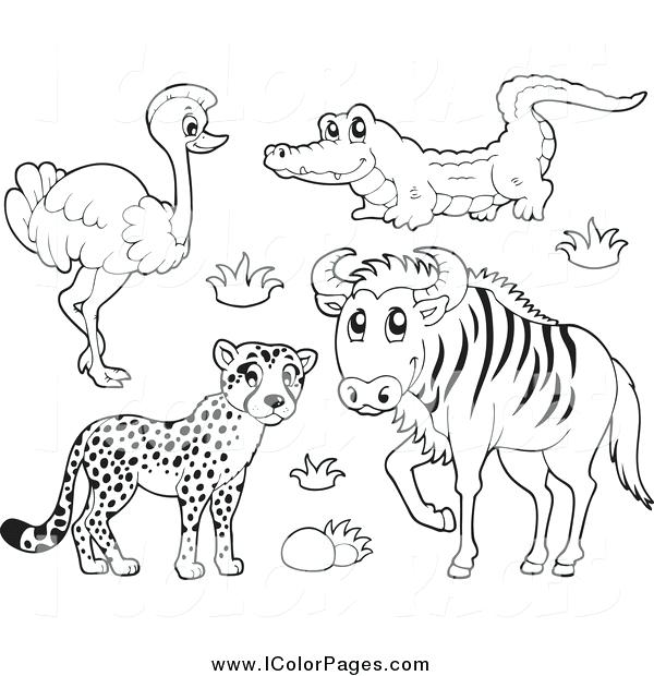 600x620 Animals Coloring Pages Safari Animal Coloring Pages Animals