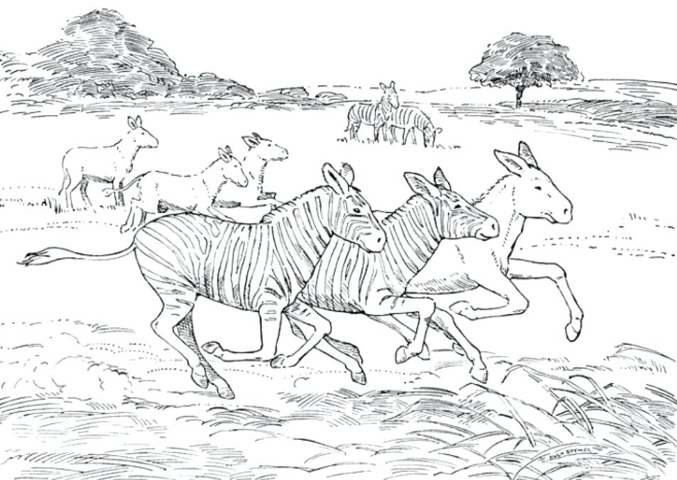 953x676 Coloring Pages African Animals Inspiration African Animals