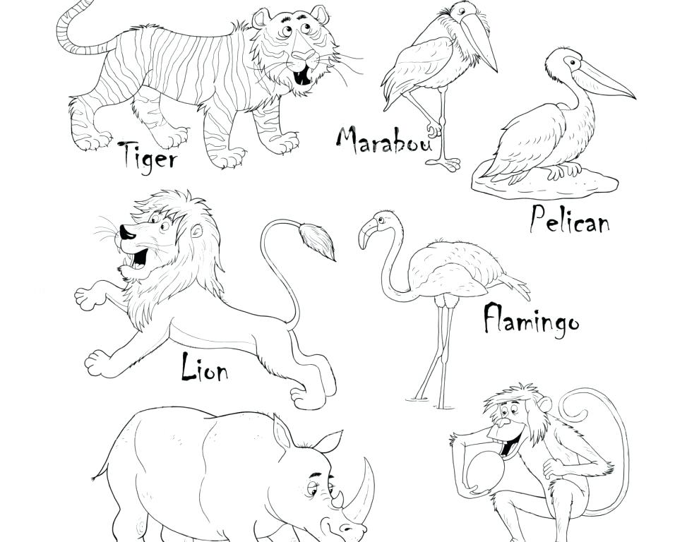 956x768 African Animal Coloring Pages Adult Z Animals Forest Coloring