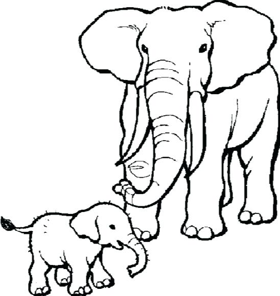 548x581 African Elephant Coloring Page Elephant Coloring Pages Online