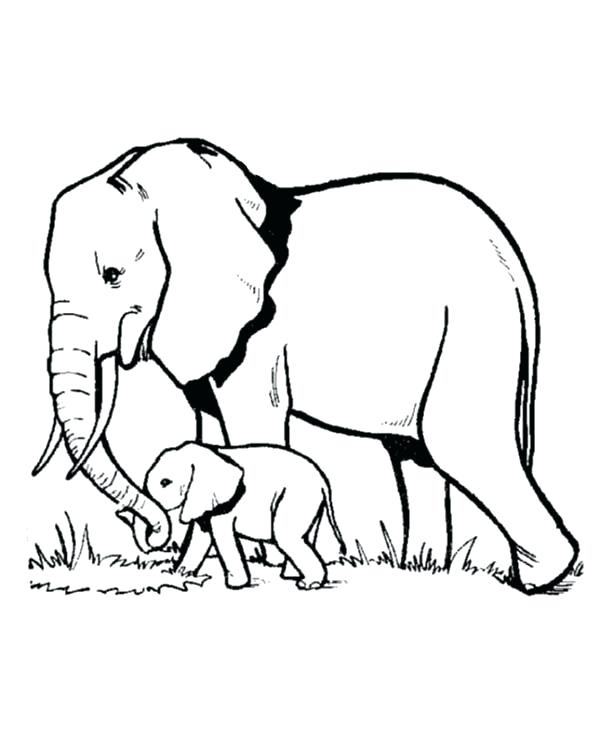 600x734 African Elephant Coloring Pages Elephant And Baby Elephant Looking