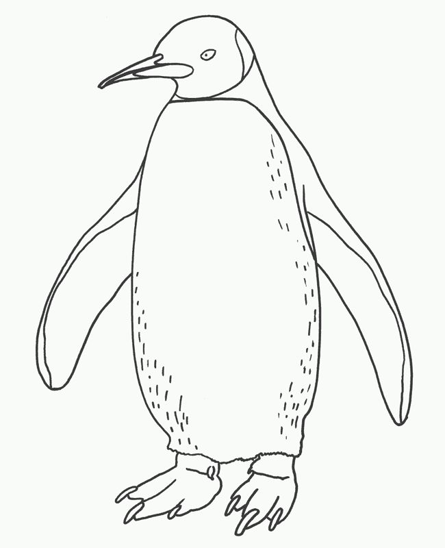 650x800 Penguins Coloring Pages Can Help Your Child To Learn The New