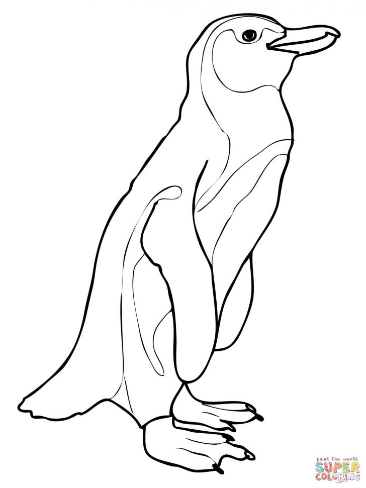 728x971 Penguins Coloring Pages The Gentleman Penguin Of Animal Christmas