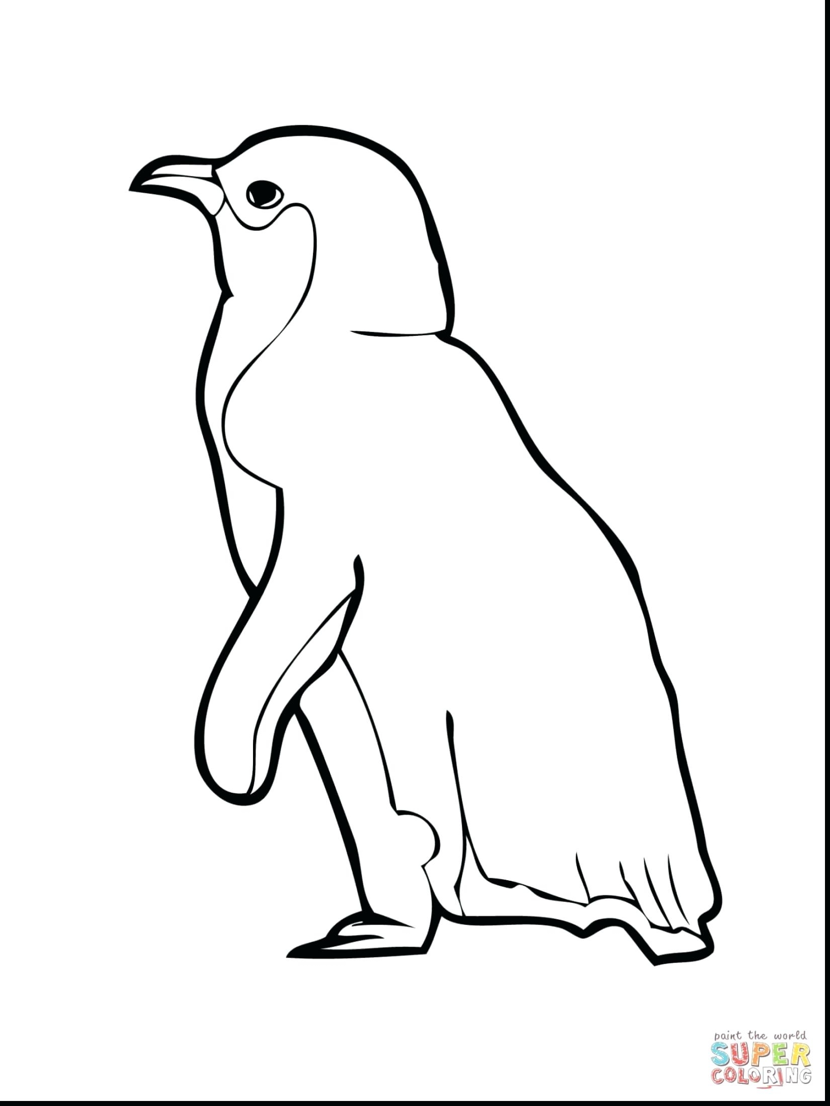1650x2200 Spotlight Little Blue Penguin Coloring Page Best Of Clipart