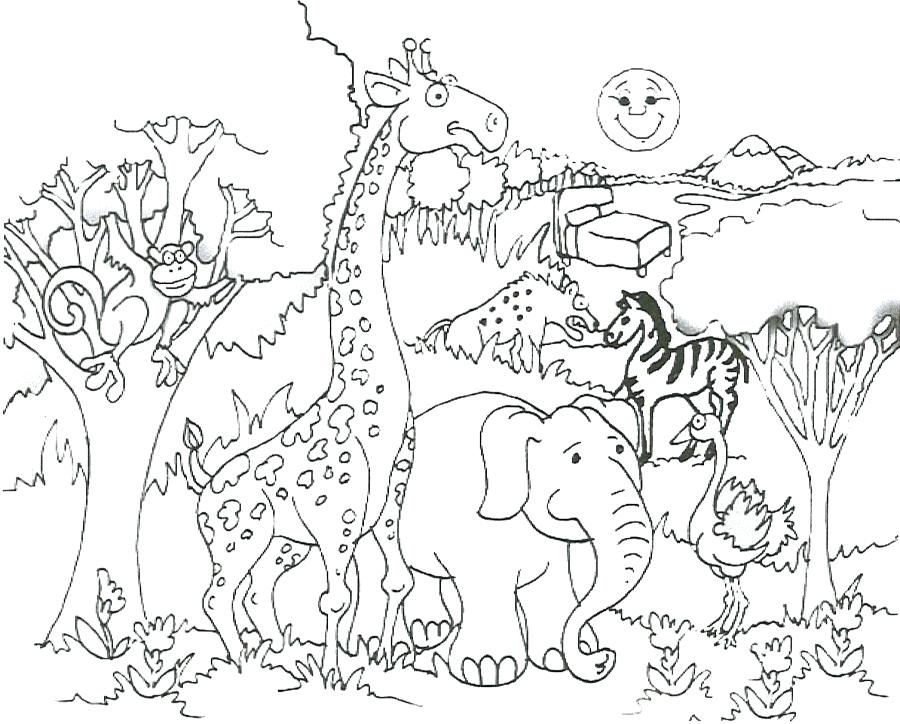 900x724 Safari Animals Coloring Pages Free Printable Jungle Animal