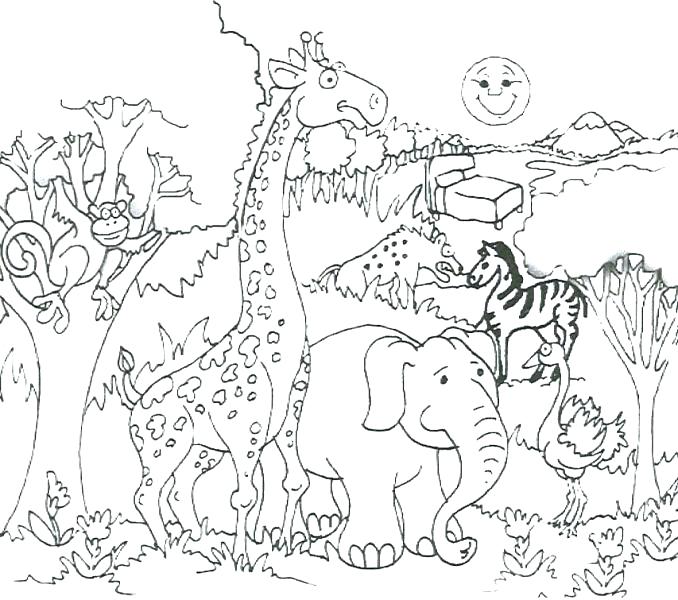 678x600 Safari Animals Coloring Pages