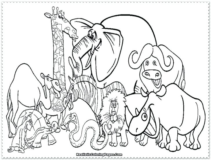 728x553 Safari Animals Coloring Pages